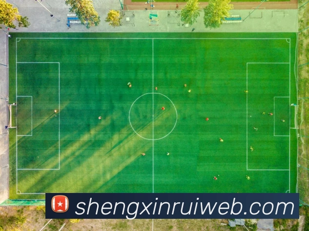 赛事专题整合